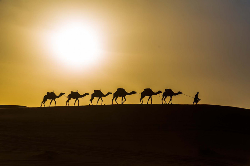 8 Days from Fes to Marrakech via Merzouga